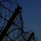 barbed-wire fence