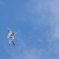 大空へ