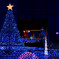 2013年 Xmasイルミネーション in カレッタ汐留