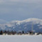 仙北平野の雪景