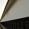 DPP_2466
