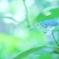 ++残響++