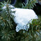 雪