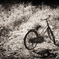 Bicycle at ･･･
