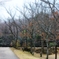 公園の片隅で…