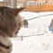 遊びたいな