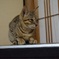 舞台のうえ