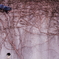 ｃａｔ ＆ ｈｏｌｅ