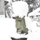 雪の中でがんばる狛犬