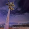 Nightview