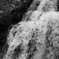 DP3 with Monochrome