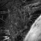 DP3 with Monochrome