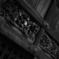DP3 with Monochrome
