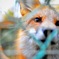 キツネさん