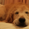 睡眠中