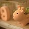 animal planter