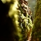 編笠山_092