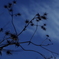 clear sky