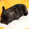 resize0363
