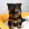 resize0229