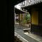 PICT6629