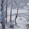 北海道の冬景色