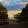 夕暮れ公園