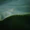 水玉