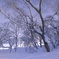 〜HOKKAIDO〜
