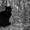 20150128-DSC_3944