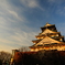 夕日に照る大阪城