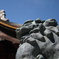 DSC00909