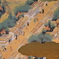江戸の町