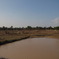 P1135200