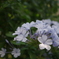 OTOT0567