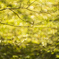 DSC00604-1-20150124