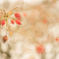 DSC09713-20150104