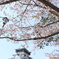 小倉城