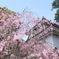 小倉城にて