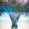 Glass Vase