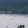 DSC00205