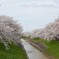 20140402_0236