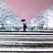 雪にはしゃぐ