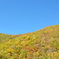 青空の下　紅葉が進みました　空気も澄んでいます