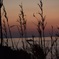 夕暮れ2