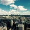 東京景1
