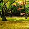 兼六園1