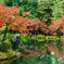 兼六園3