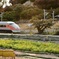 田舎道
