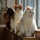 猫のチューチュートレイン